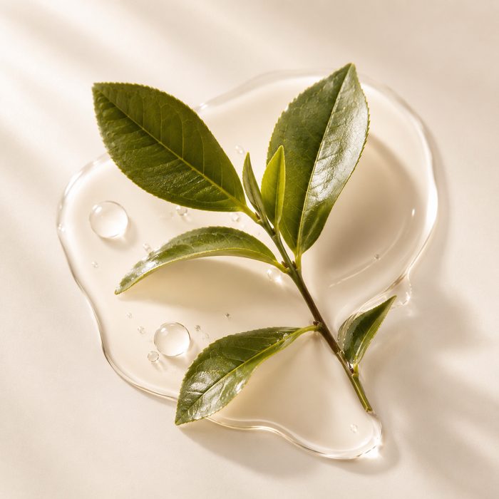 Green tea extract